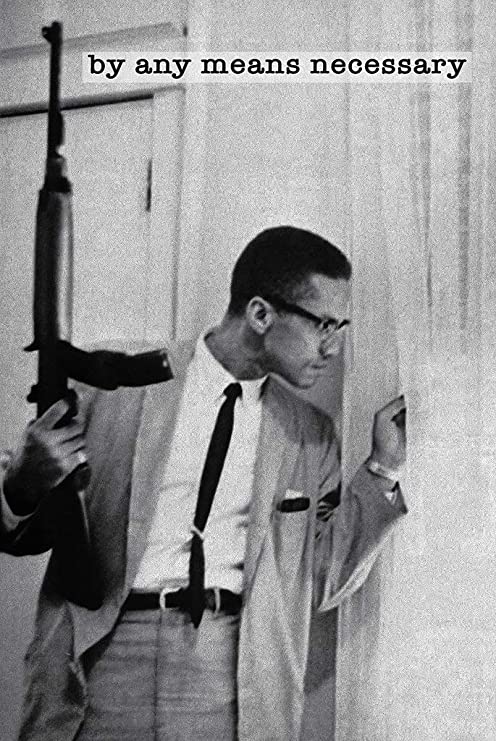 malcom x by any means necesary